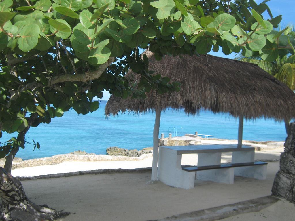 Condumel Apartment Cozumel Exterior photo